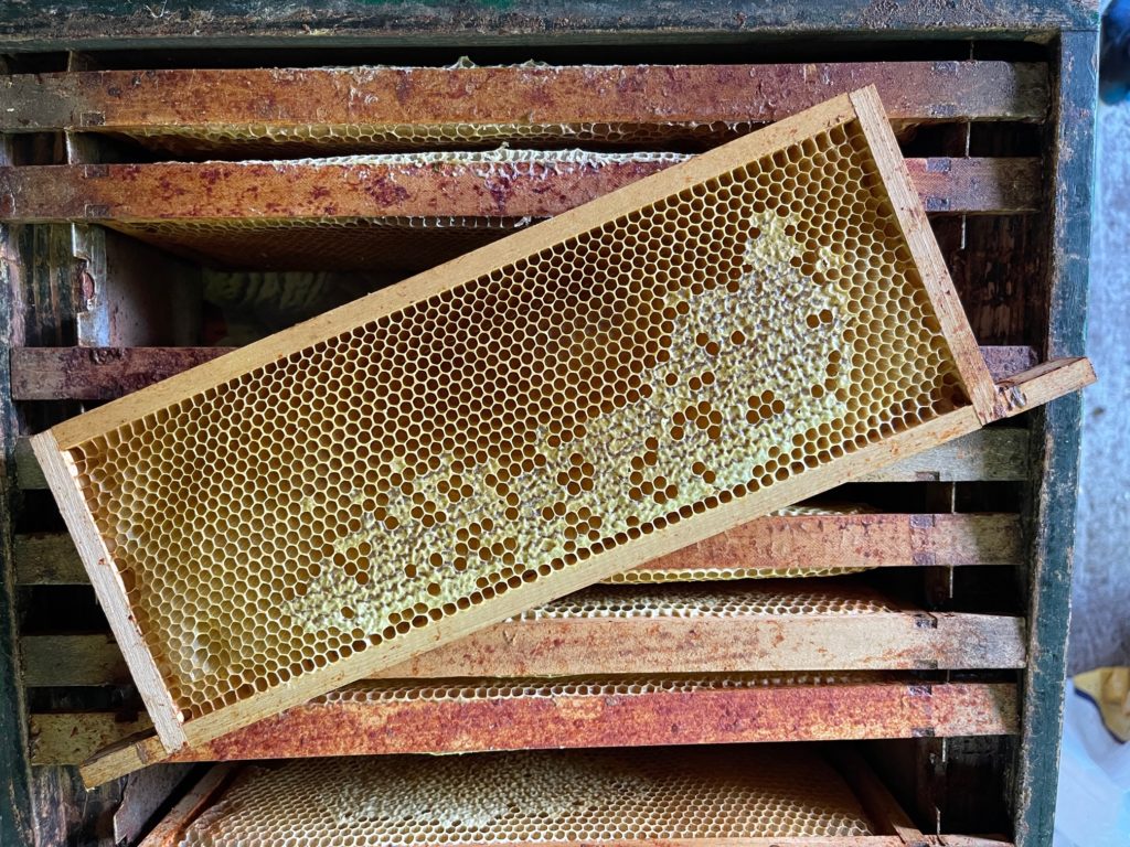 plank bijenkast