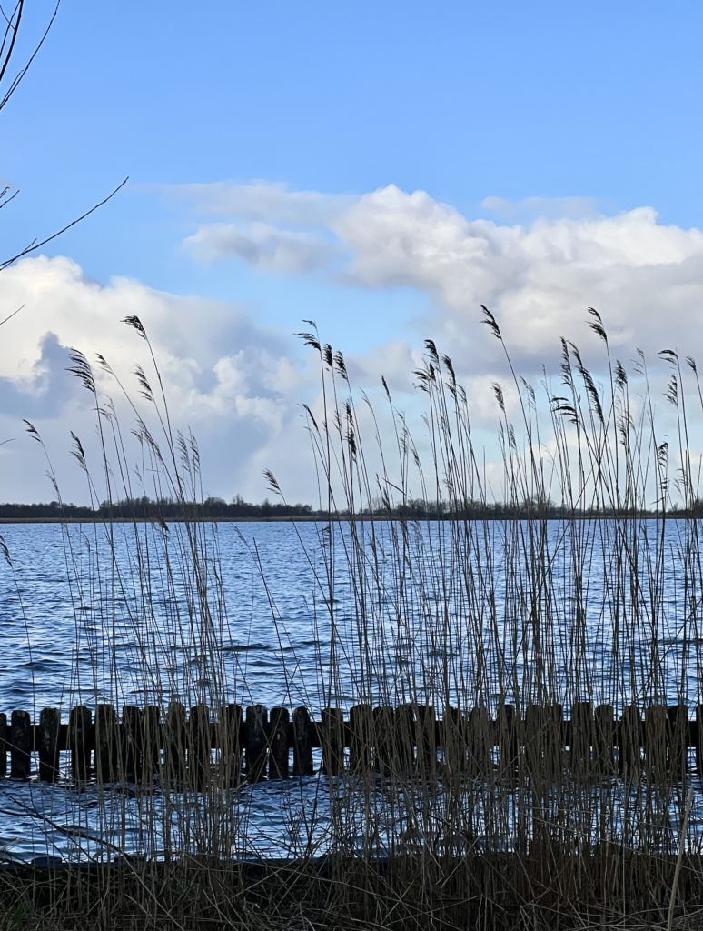 riet wolken ruimte rust ontspannen